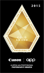 Gold Award